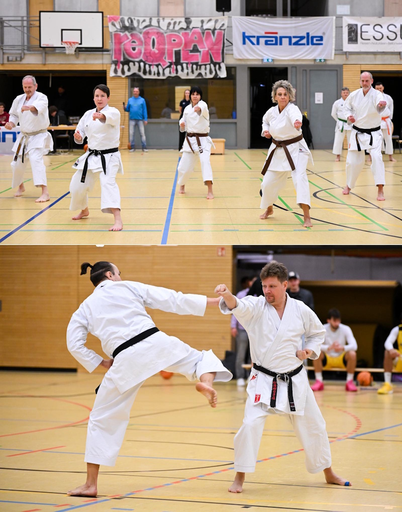 Das Bild konnte leider nicht geladen werden.